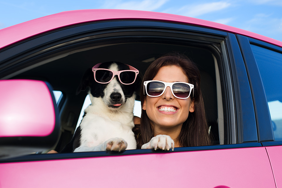 Viajar-con-mascota-en-coche